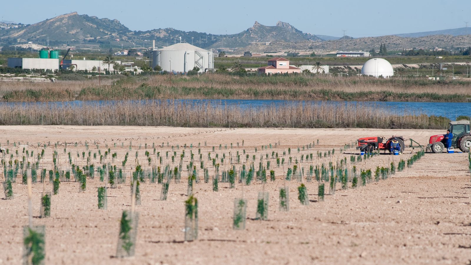 Campo sembrado en la zona de Molina de Segura, que se aprovecha de le economía circular del agua.