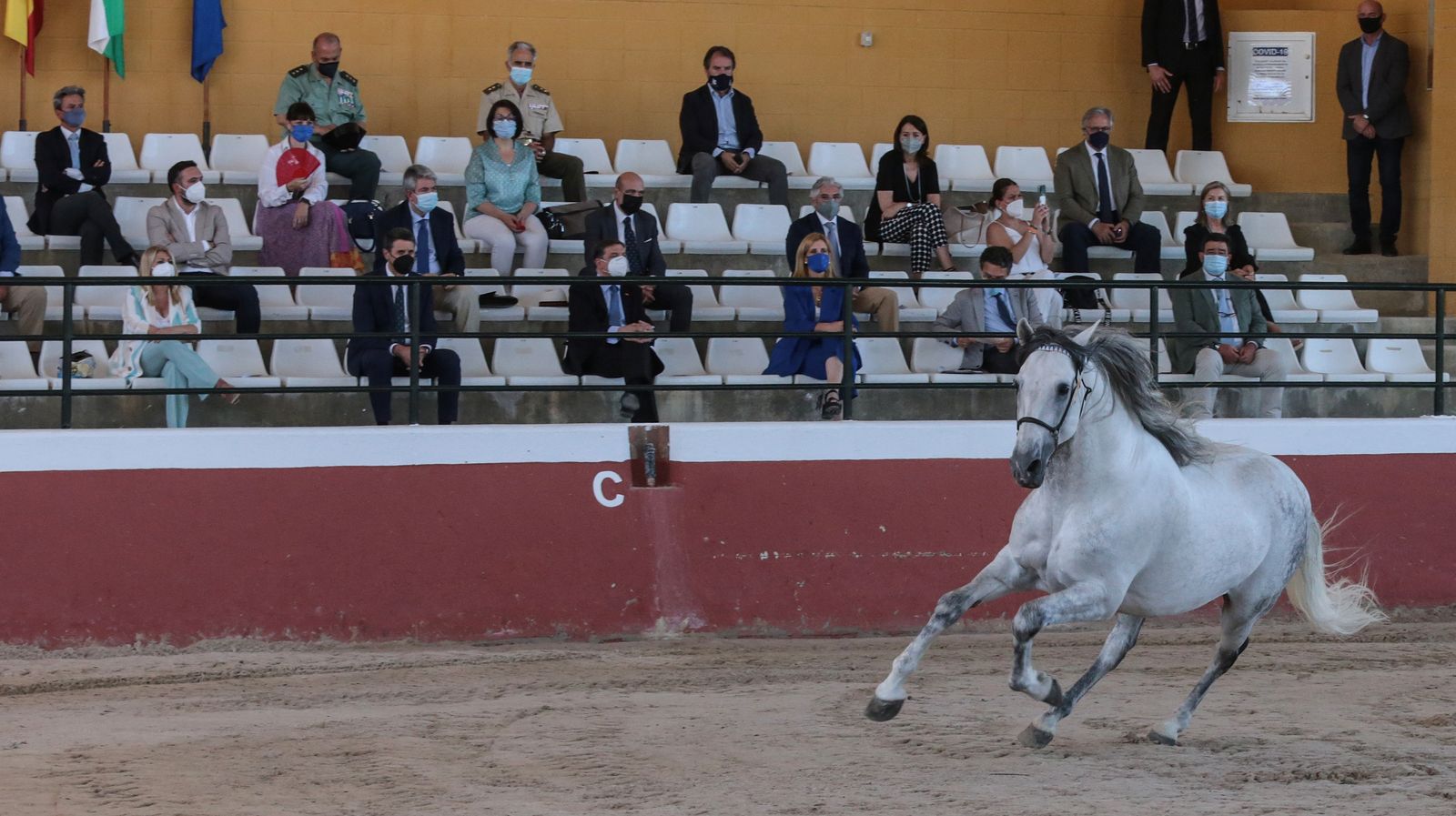 El ministro de agricultura Luis Planas visita Jerez y la Yeguada del Hierro del Bocado