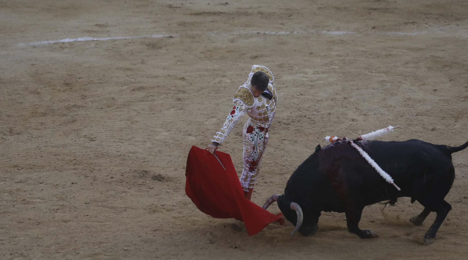 Fotos de la encerrona de Manuel Escribano en Tarifa