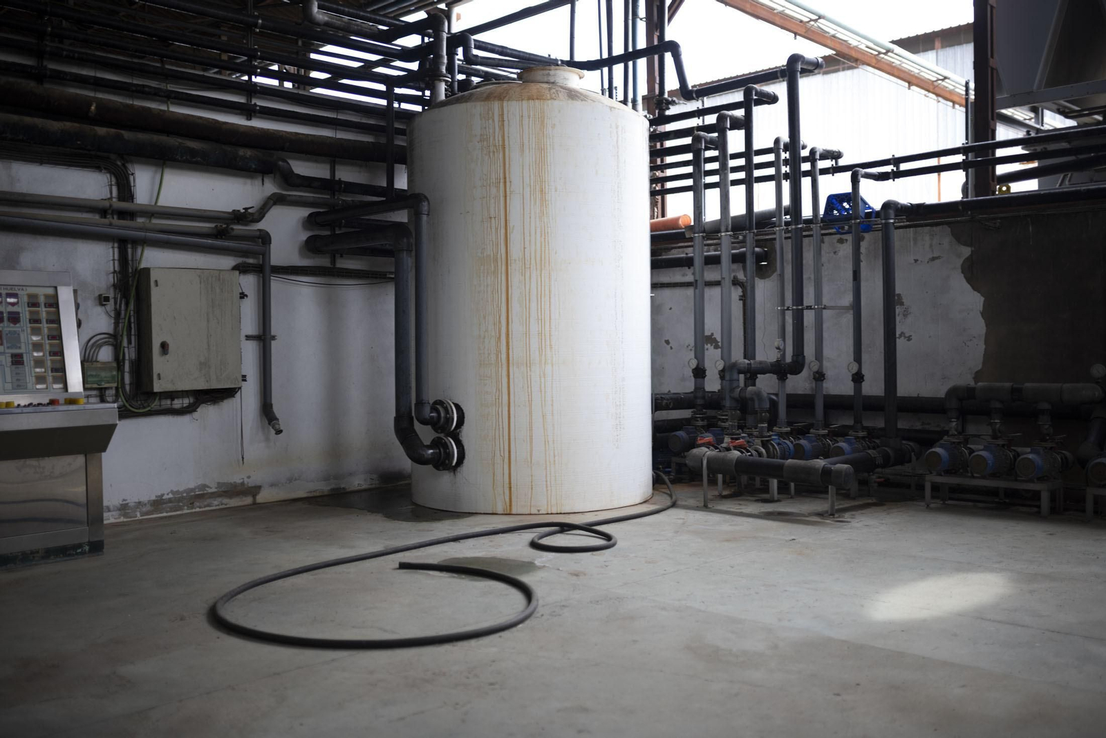 Imágenes de la vendimia en el Condado de Huelva