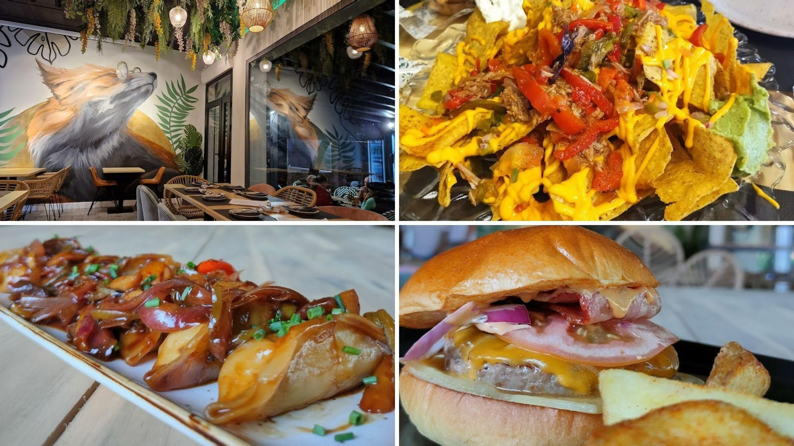 Zorro Viejo Huelva 4 restaurantes de Huelva donde comer bien que aceptan mascotas