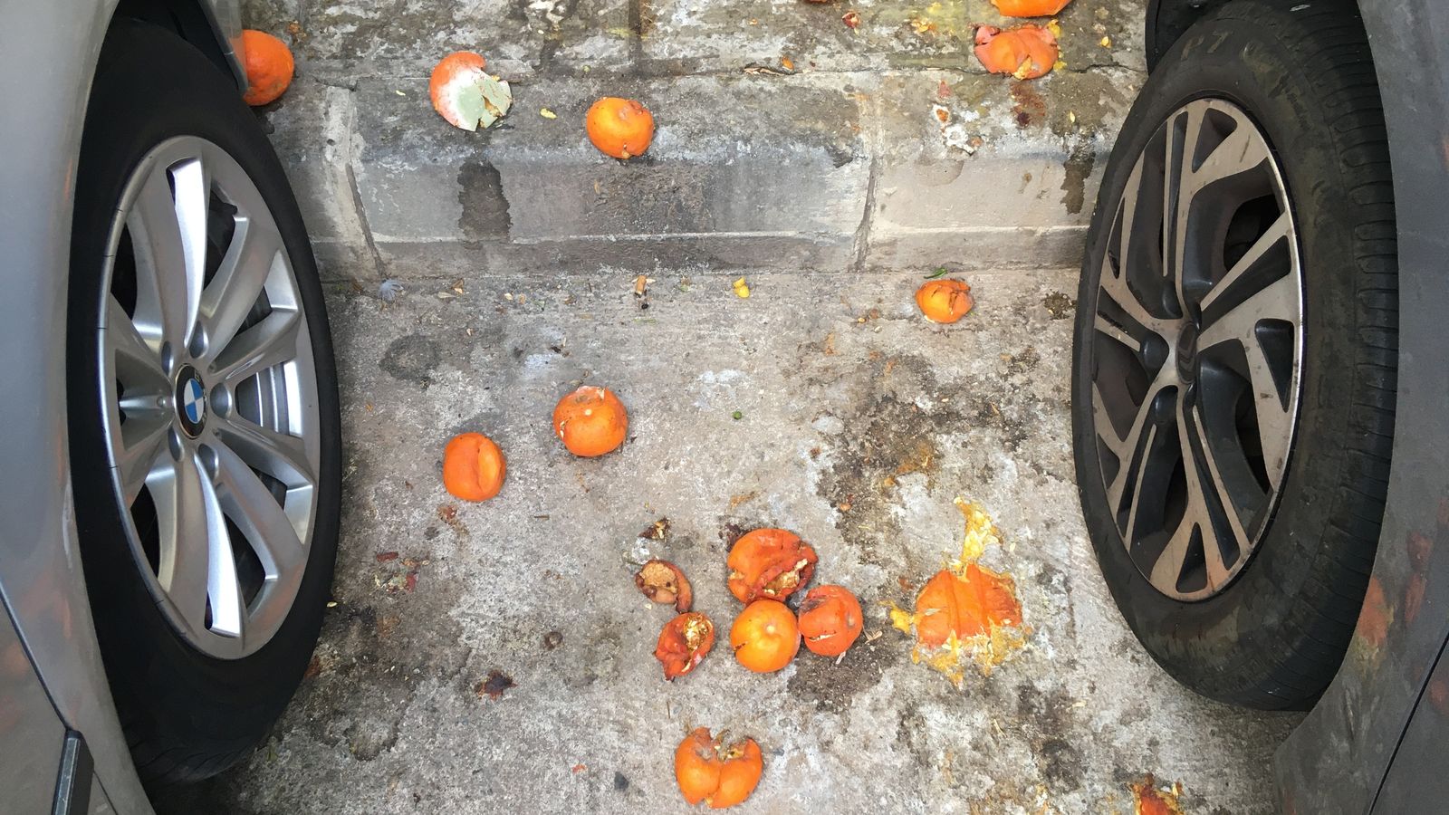 Naranjas podridas entre dos coches, este lunes.
