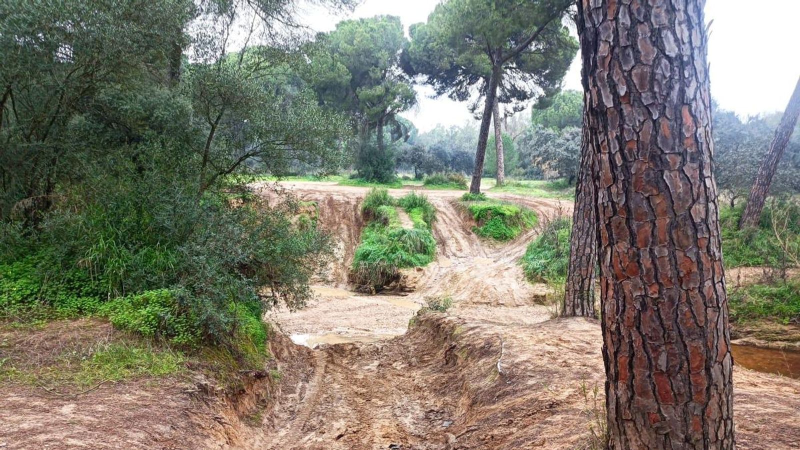 Cruzando el arroyo de Majalberraque.