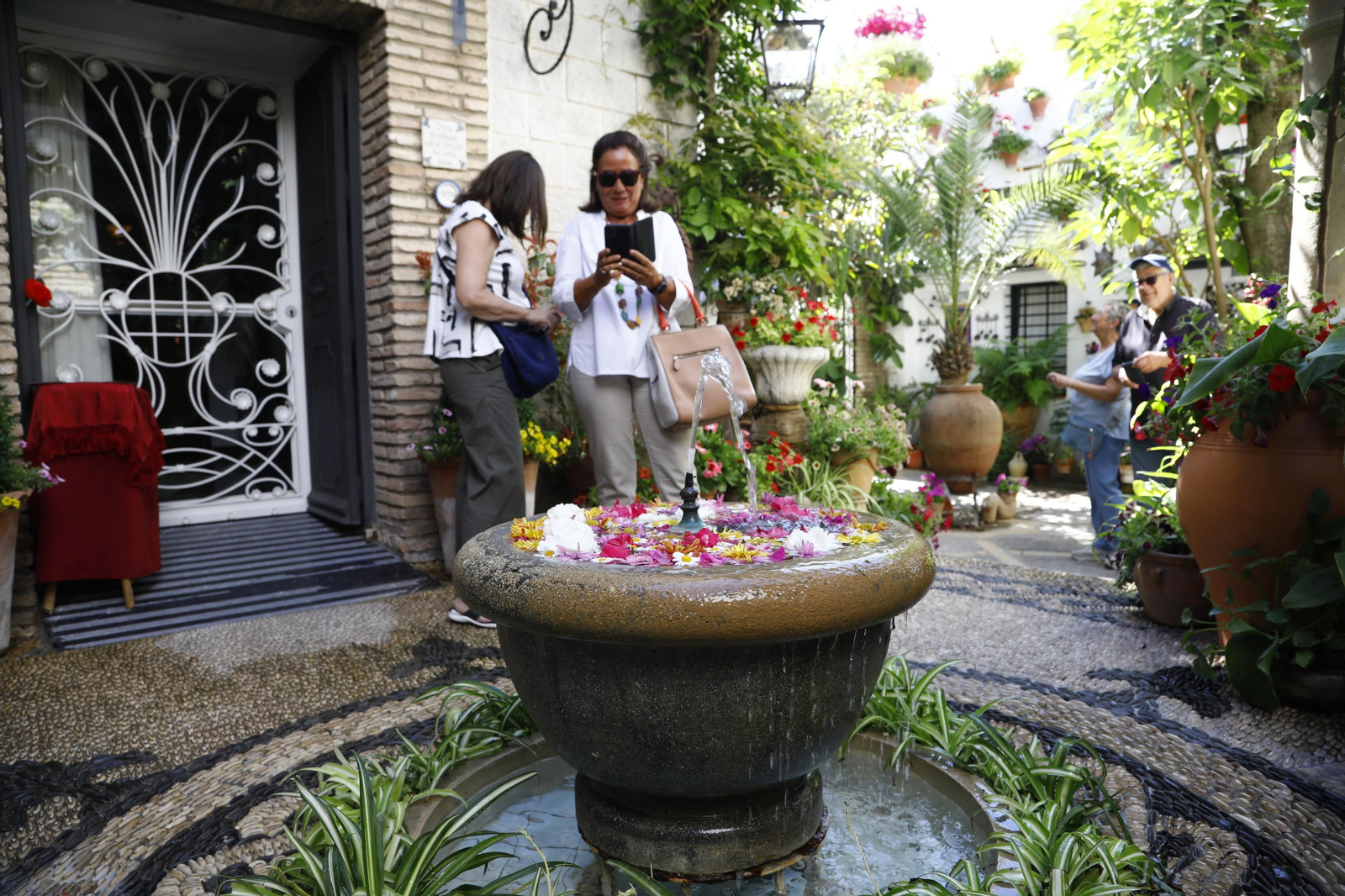 Los Patios de Córdoba se preparan para el fin de semana, en imágenes