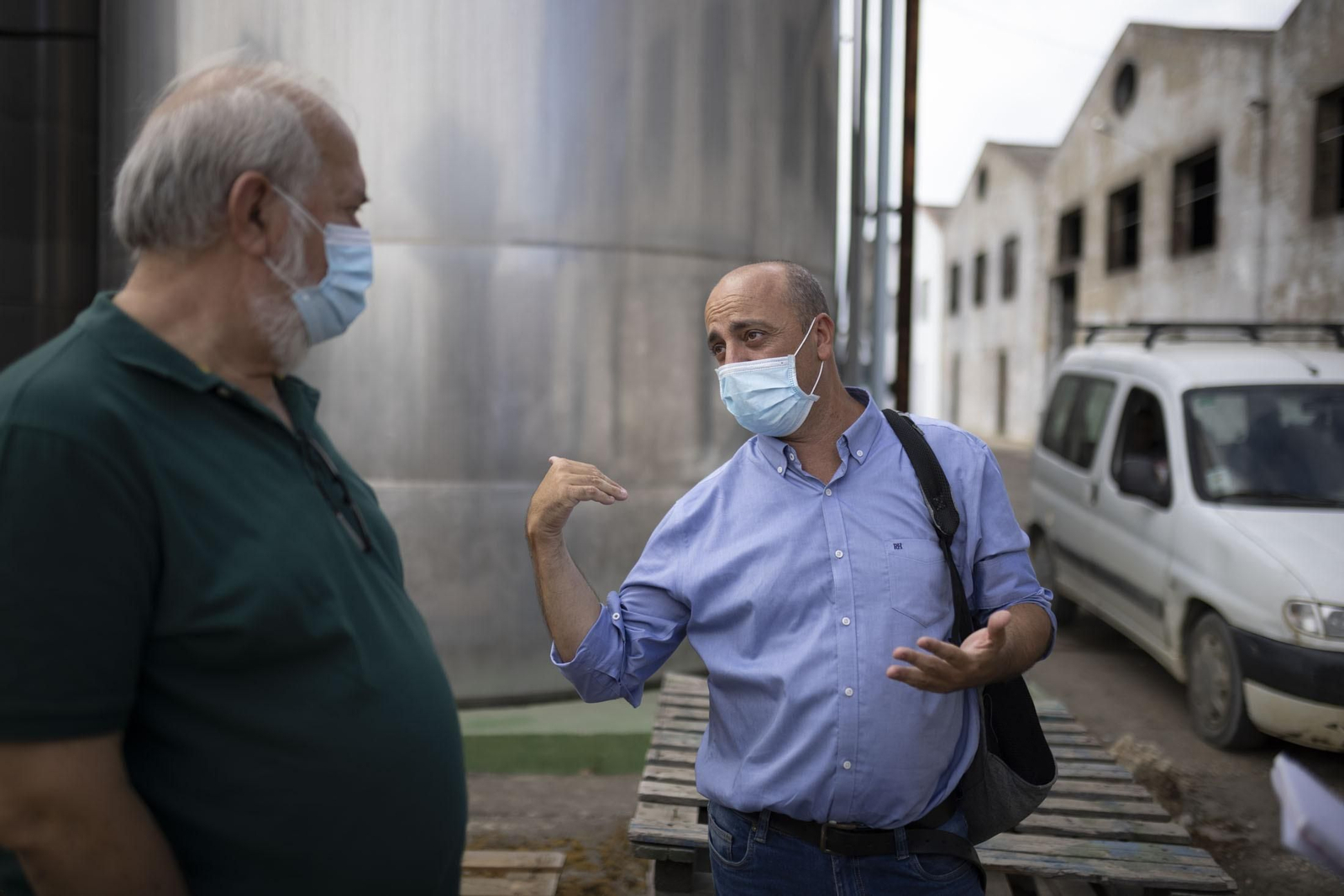 Imágenes de la vendimia en el Condado de Huelva