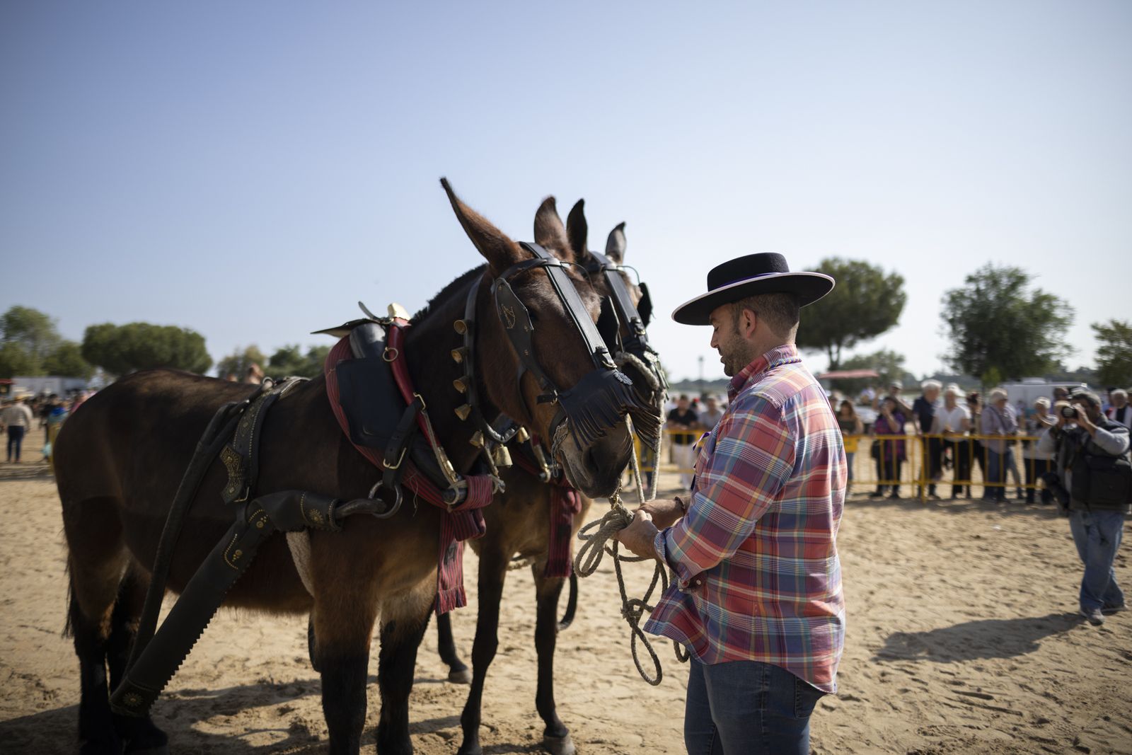 El Rocío 2023: Imágenes de la presentación de las Hermandades y ambiente en la aldea
