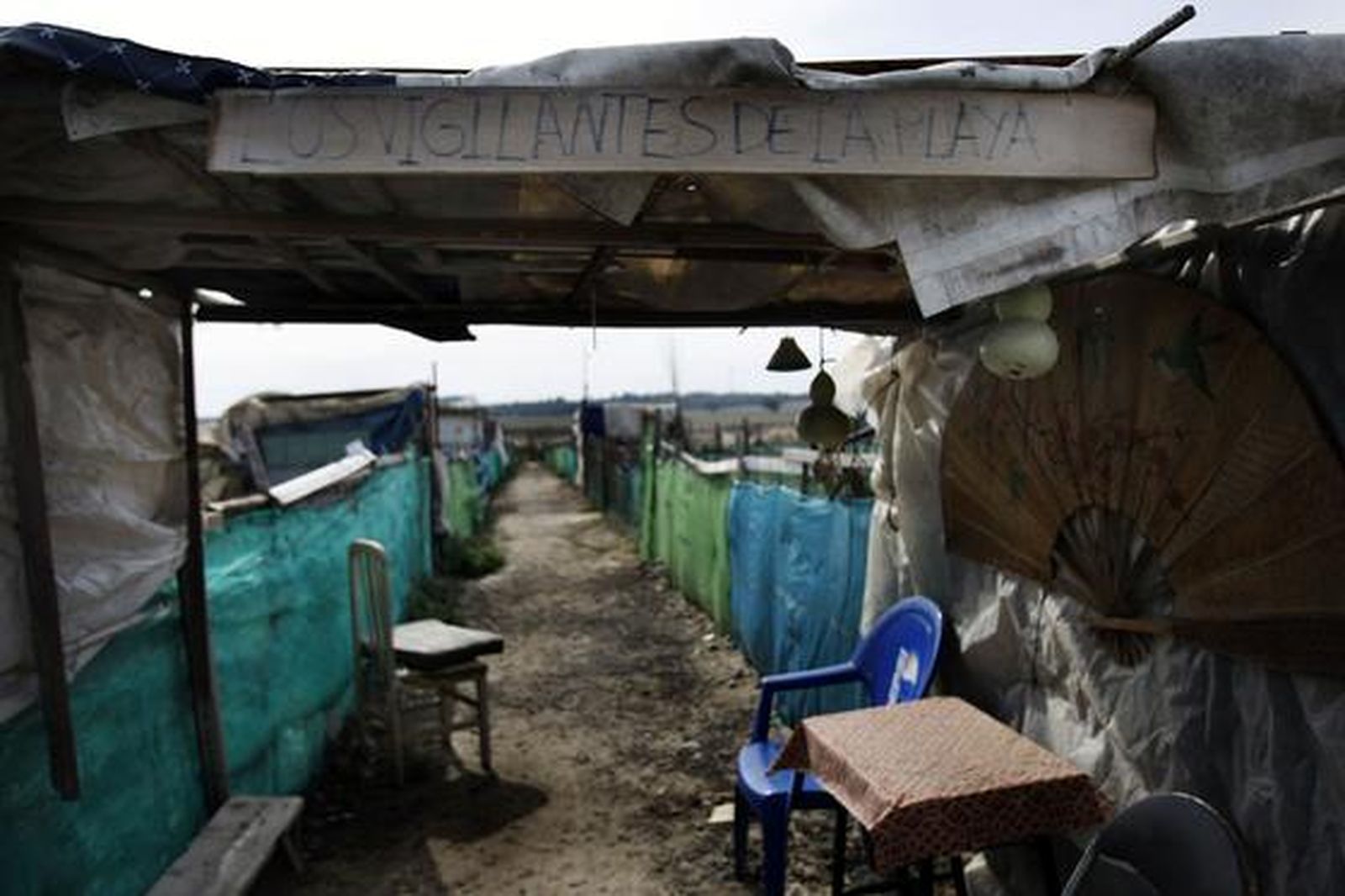 Chamizo dentro de los huertos de ocio. 

Foto: Fito Carreto