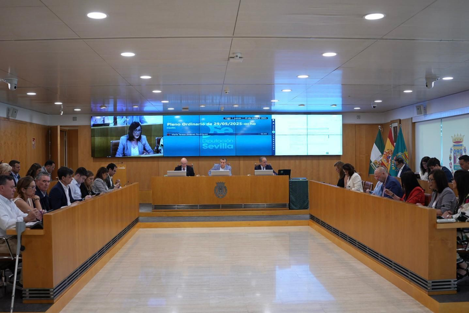 Pleno de la Diputación de Sevilla