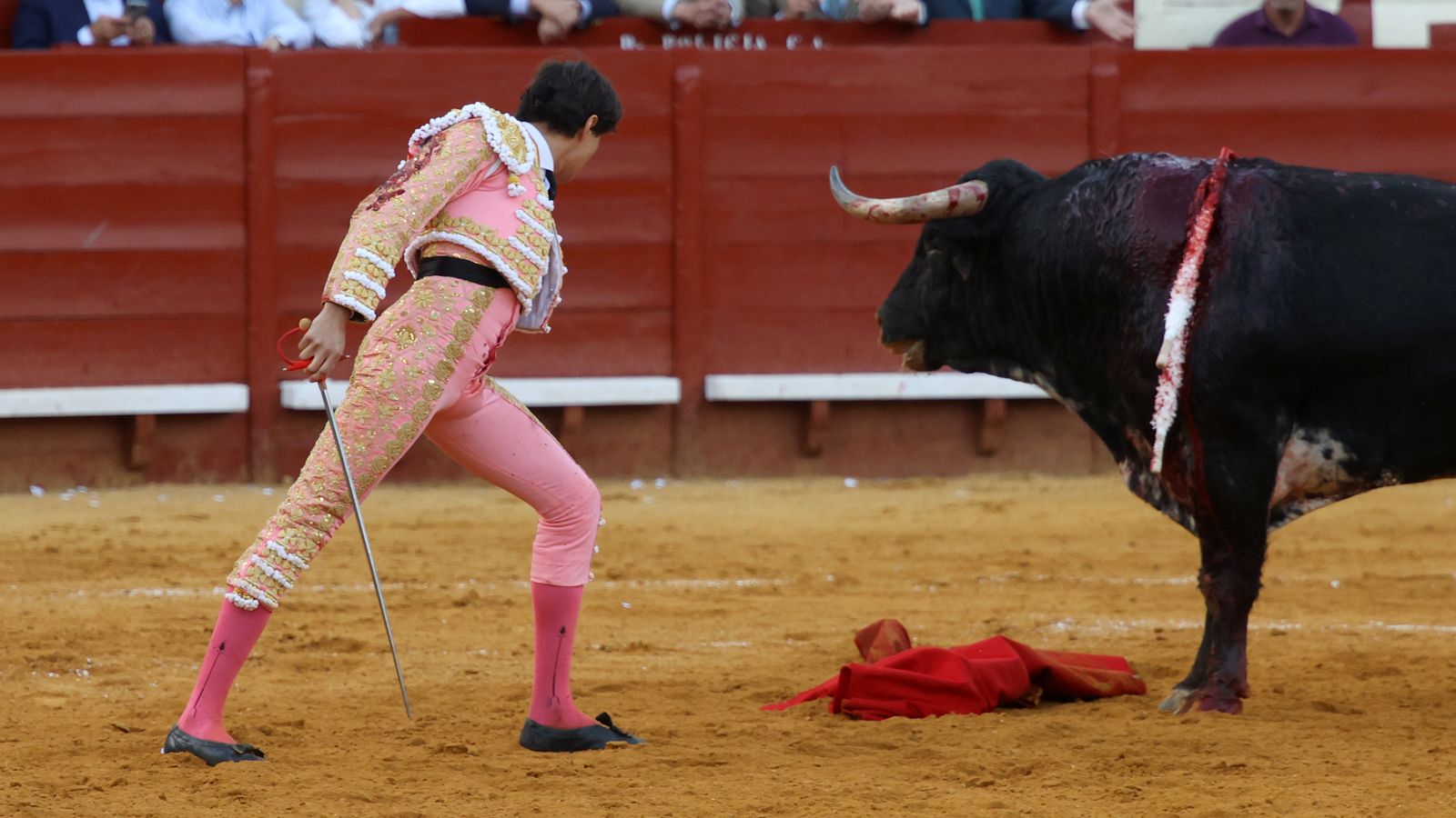 Tercera tarde de toros y última de la Feria de Jerez con Morante, Juan Ortega y Roca Rey