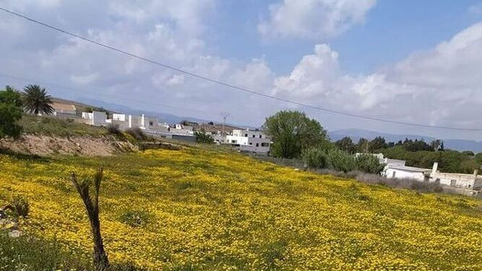Viviendas en Fernán Pérez