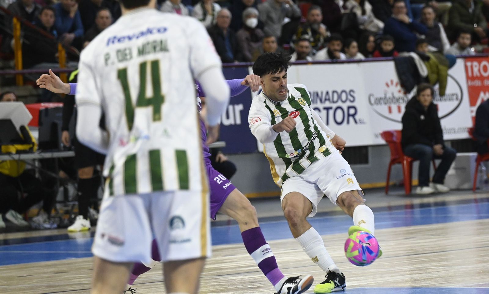 Las mejores fotos del ambiente en Vista Alegre para el Córdoba Patrimonio - Palma Futsal