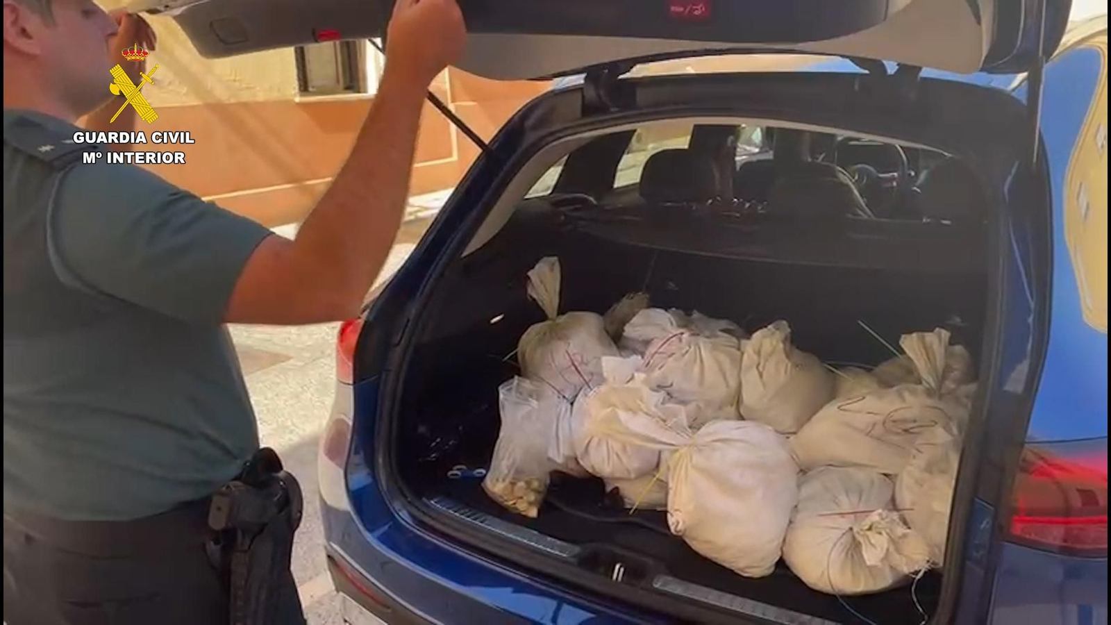 Sacos llenos de las monedas presuntamente falsificadas por los detenidos.