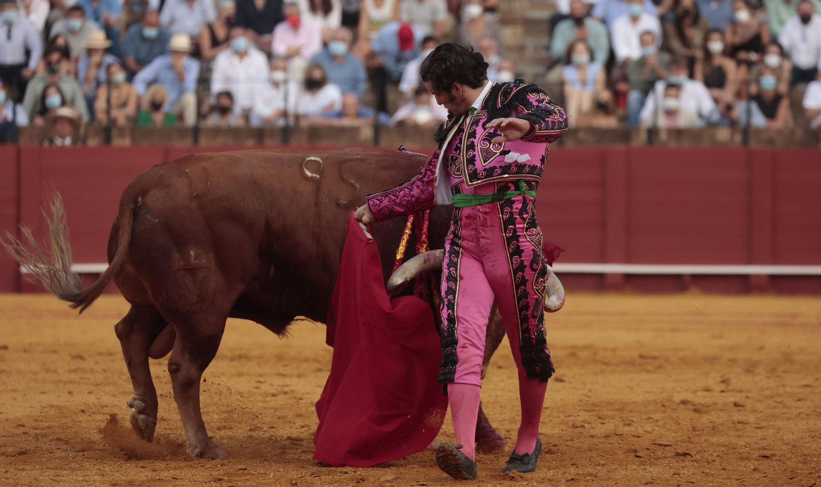 Las imágenes del triunfo de Morante en San Miguel