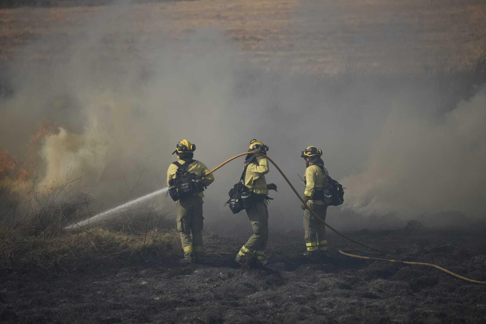 Imágenes del incendio forestal de Bonares