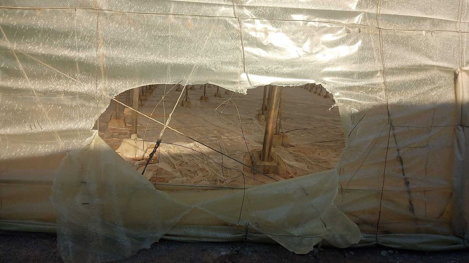 Un agujero en un invernadero por el que los ladrones sustrajeron material agrario.