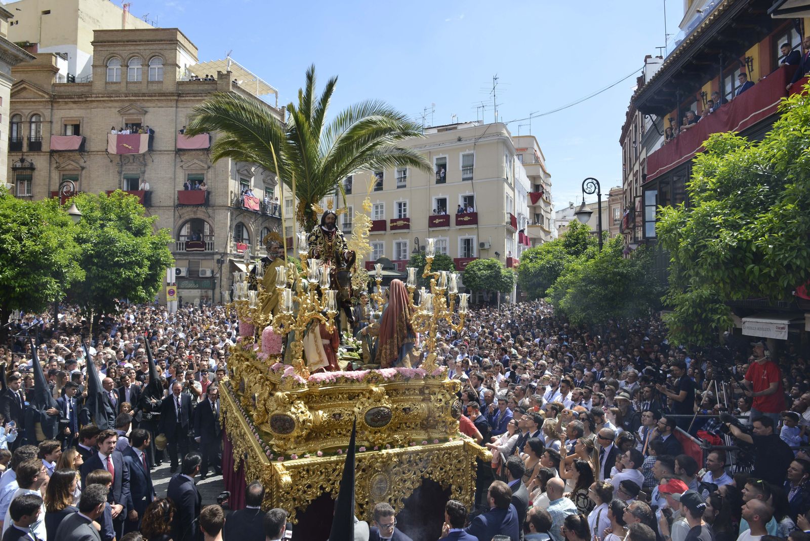 Las imágenes del Domingo de Ramos en Sevilla