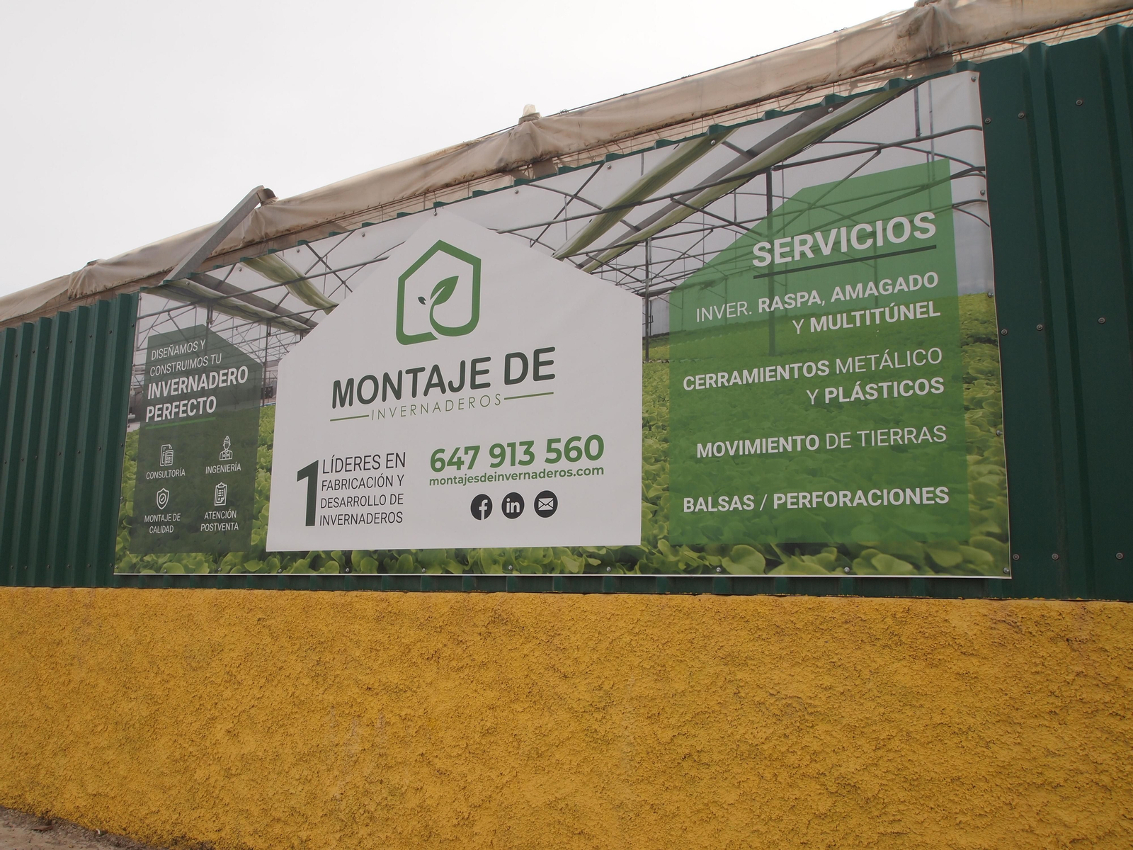 Viaje al interior de los invernaderos de última generación para el cultivo del cáñamo