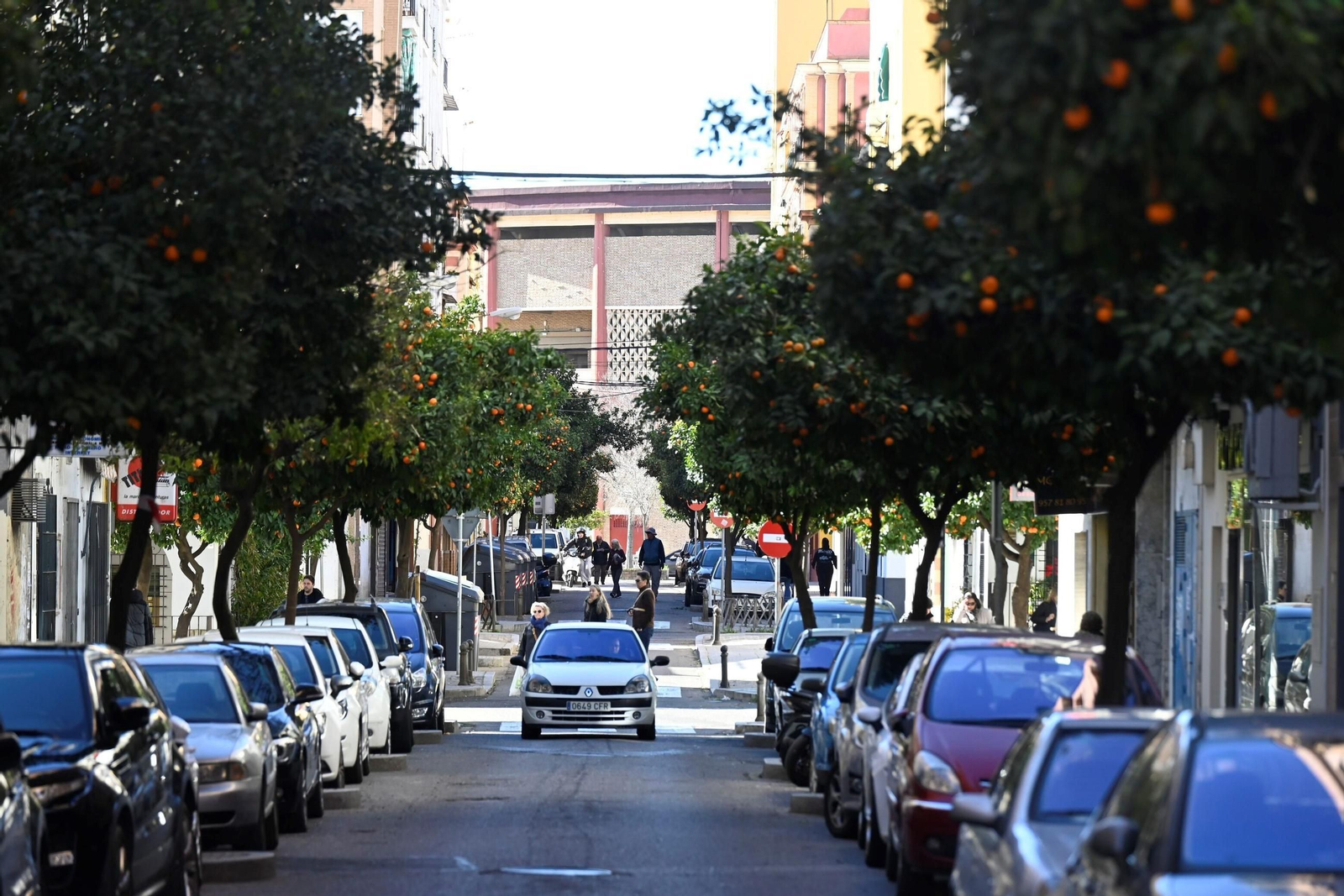 Un paseo en imágenes por Ciudad Jardín una fría jornada invernal