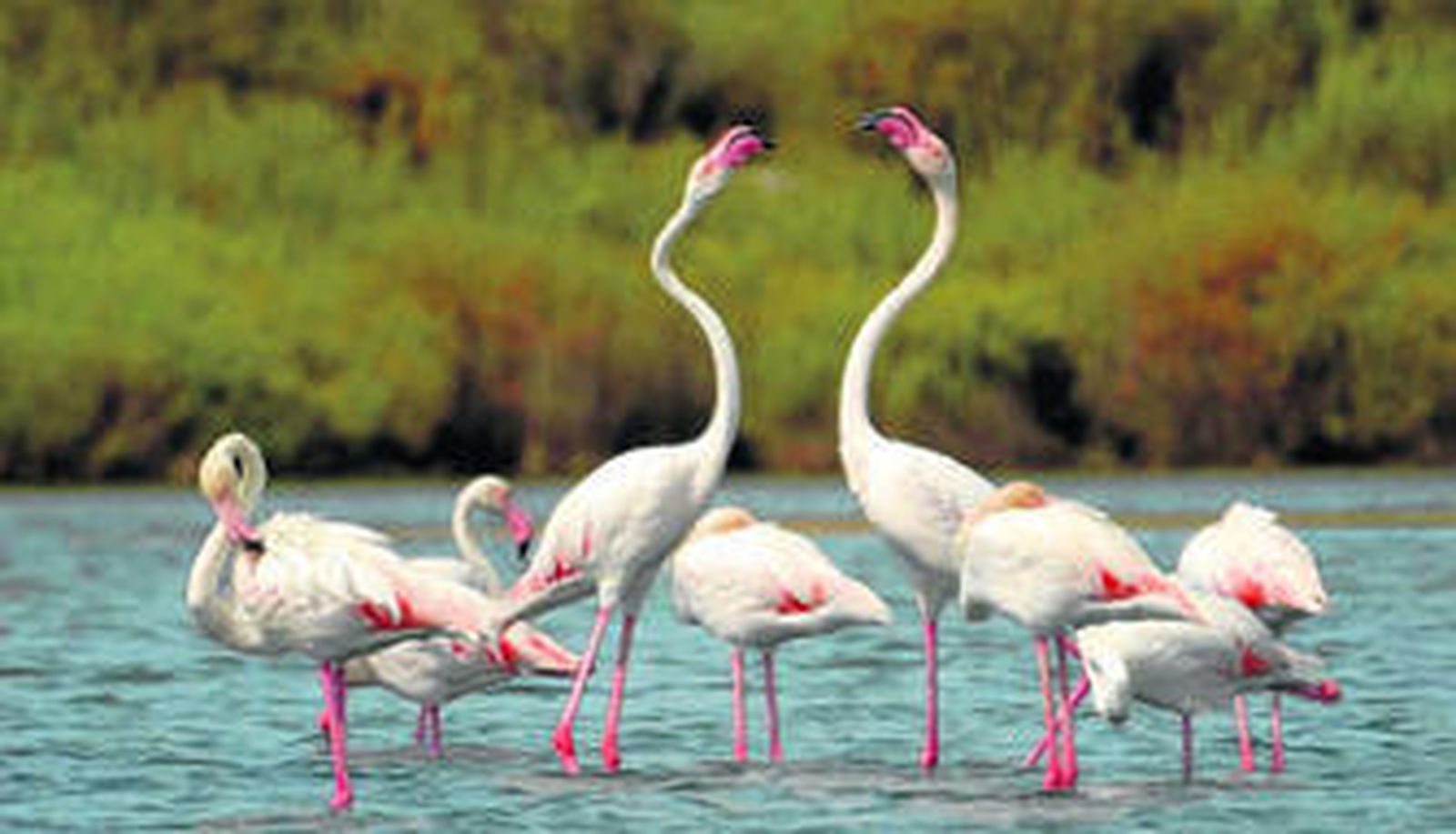 La provincia es para el verano