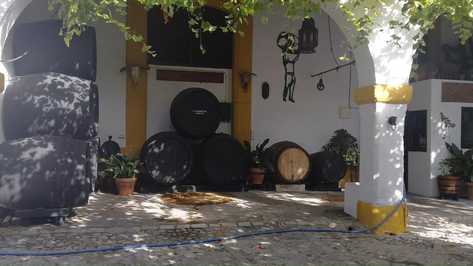 Beatriz Gutiérrez, responsable del área de enoturismo de Bodegas Gago & Co. explica cómo acogen la zambomba de la Hermandad de la Coronación.