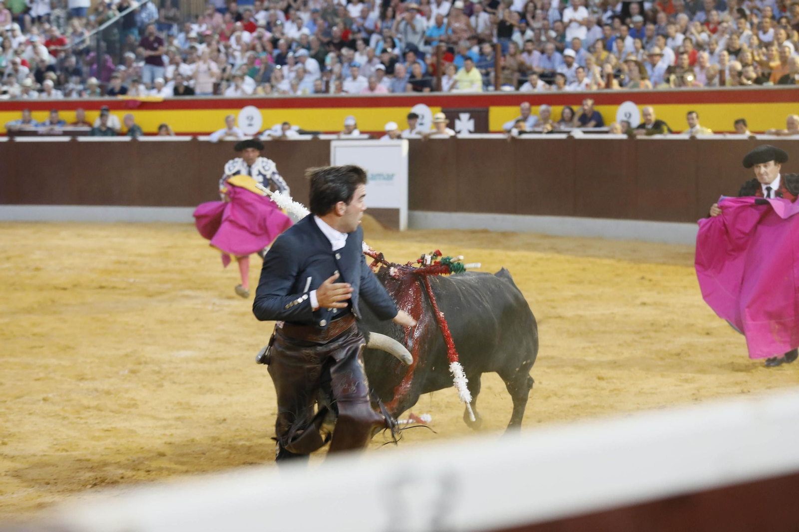 Corrida de toros Berja con un toro indultado, en imágenes