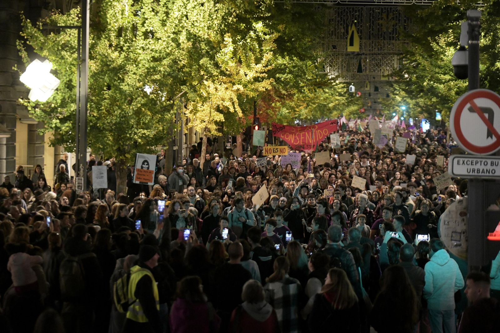 La manifestación del 25-N en Granada, en imágenes