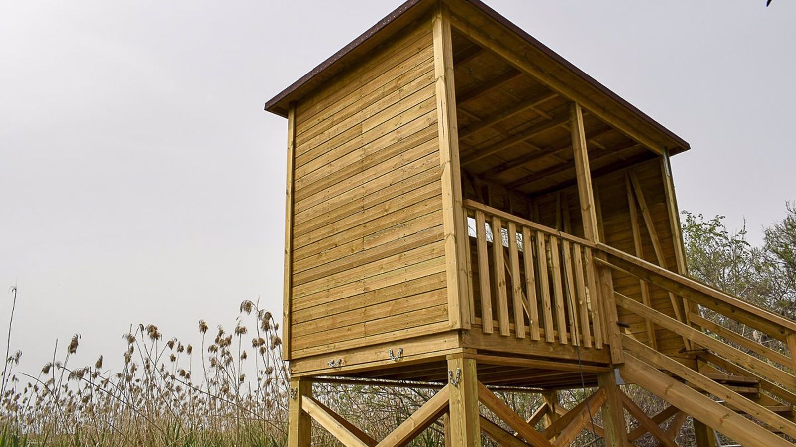 Observatorio de madera instalado en Los Palacios.