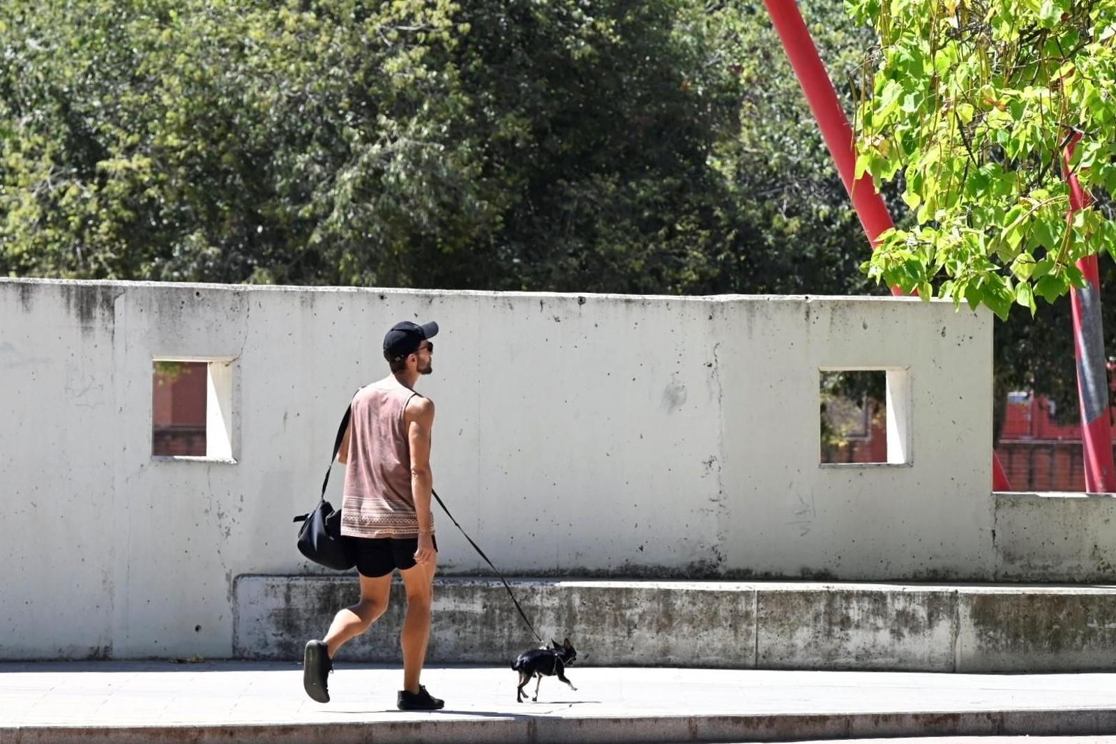 Un sábado de agosto en el barrio cordobés de Vista Alegre, en imágenes