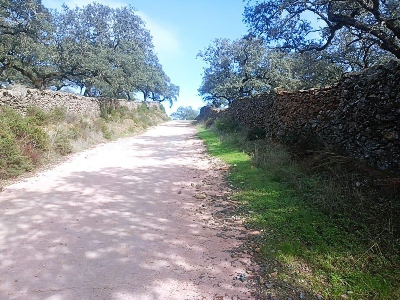 Conectamos con un carril ancho que pronto comienza a subir.