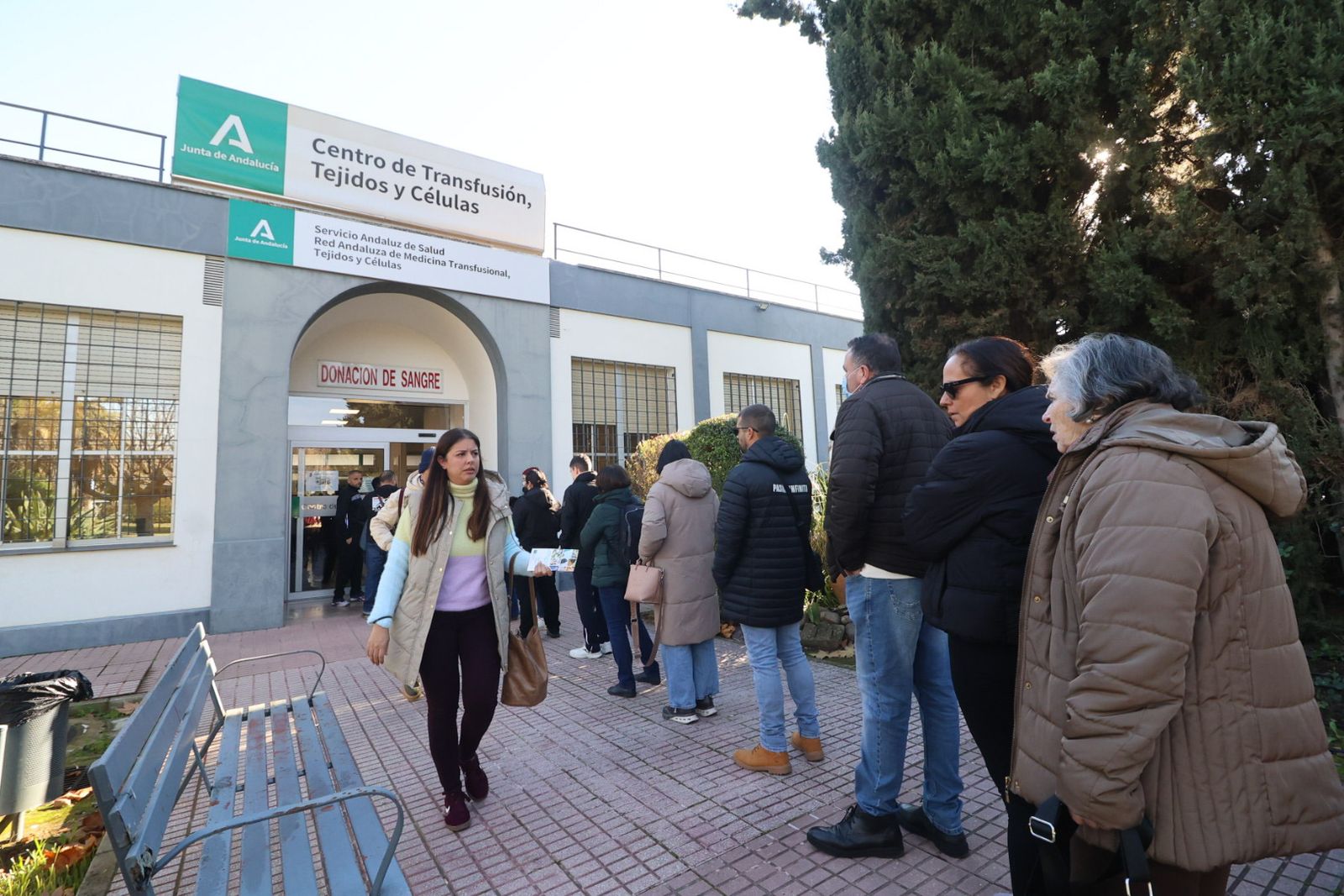 Personas llegadas de toda Andalucía donan sangre en Córdoba para los afectados de la tragedia, en fotografías