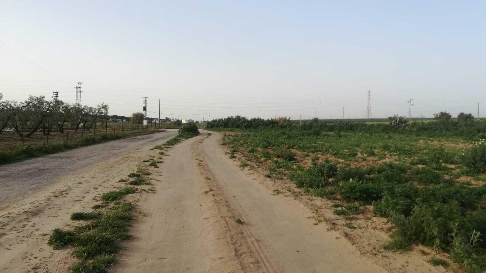 Fotos de la ruta Umbrete-Ermita de Cuatrovitas