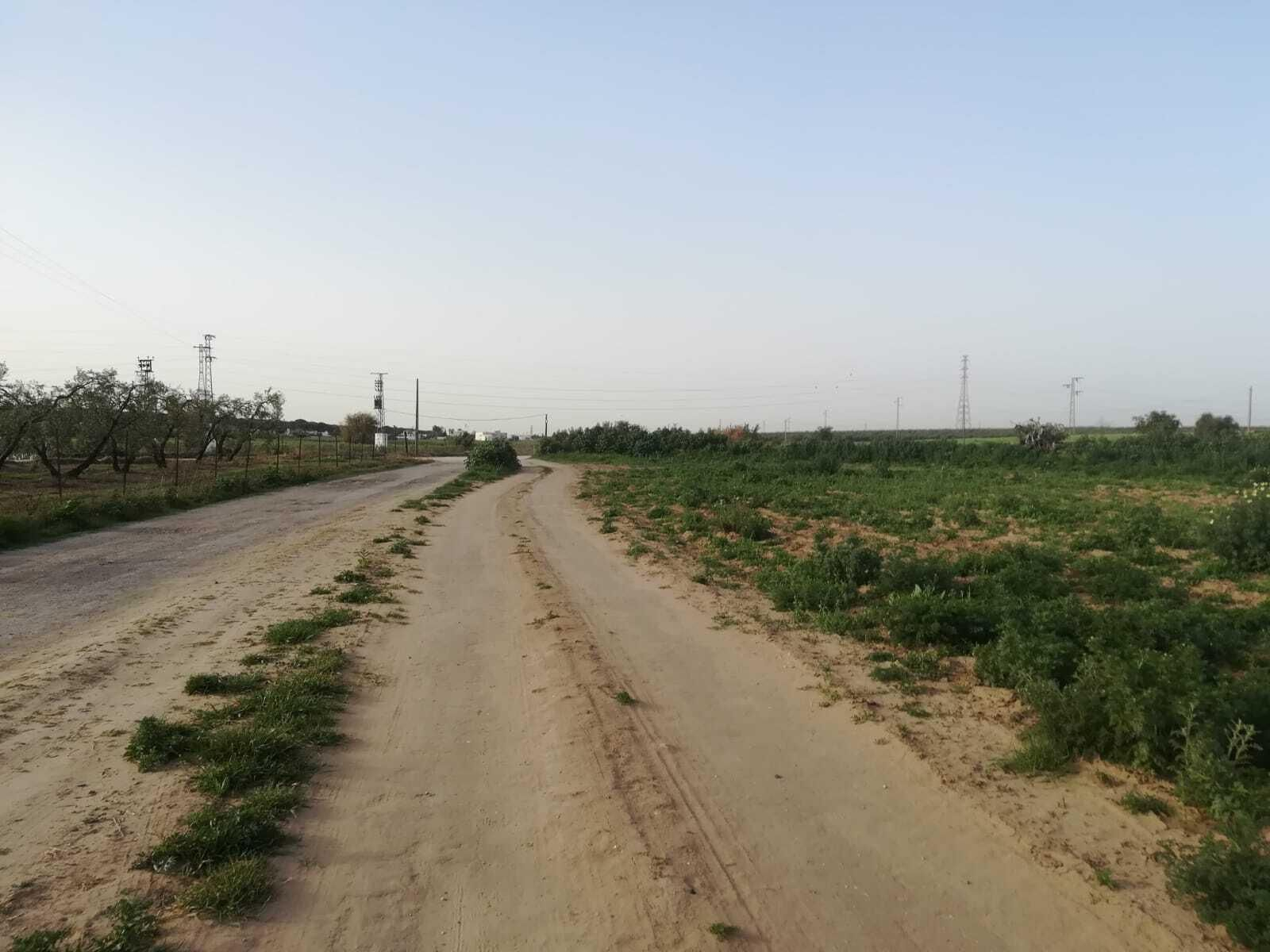 Fotos de la ruta Umbrete-Ermita de Cuatrovitas