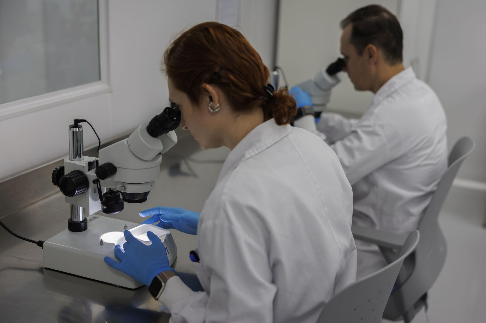 Abre en Brasil la mayor fábrica del mundo de mosquitos para combatir el dengue