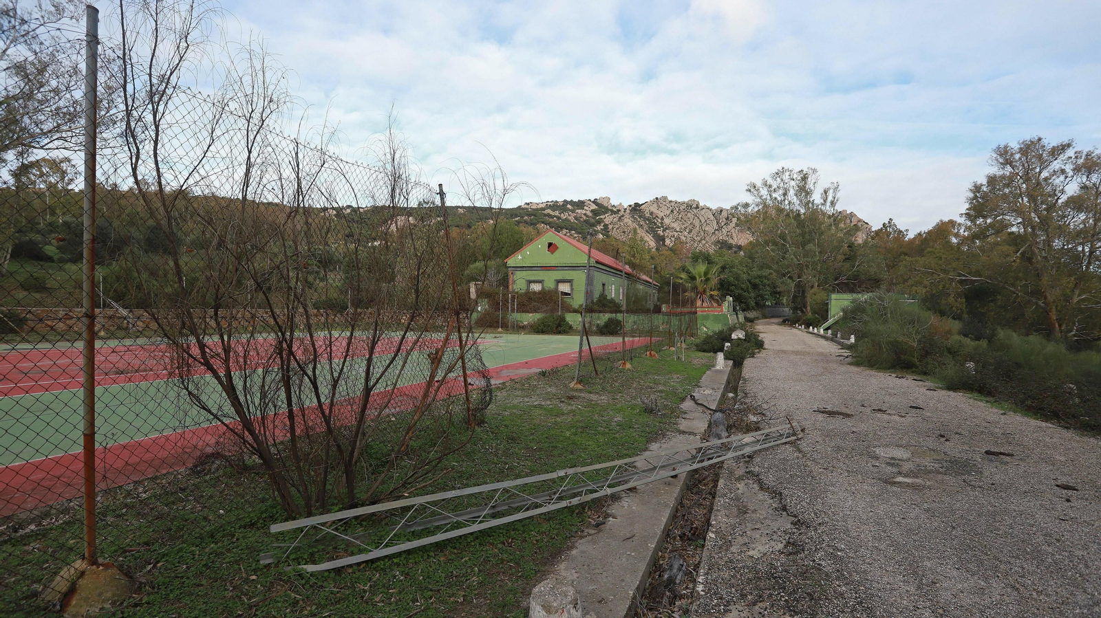 Las mejores fotos de Paloma Alta