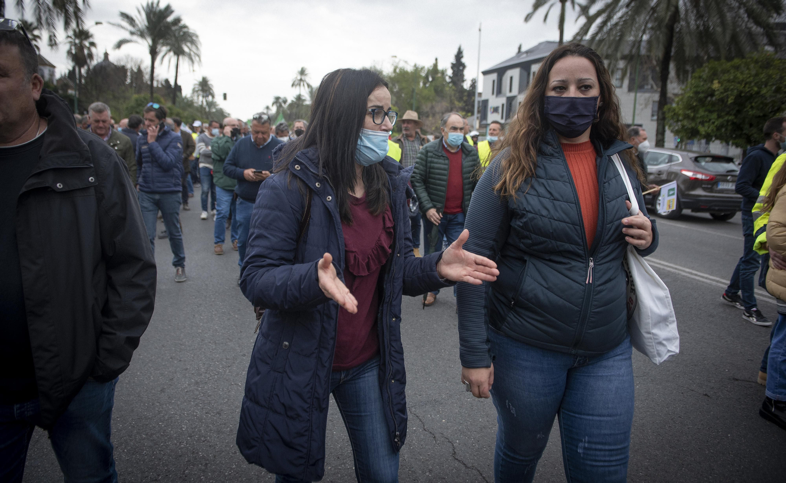 Las imágenes de la manifestación de agricultores de toda Andalucía en Sevilla