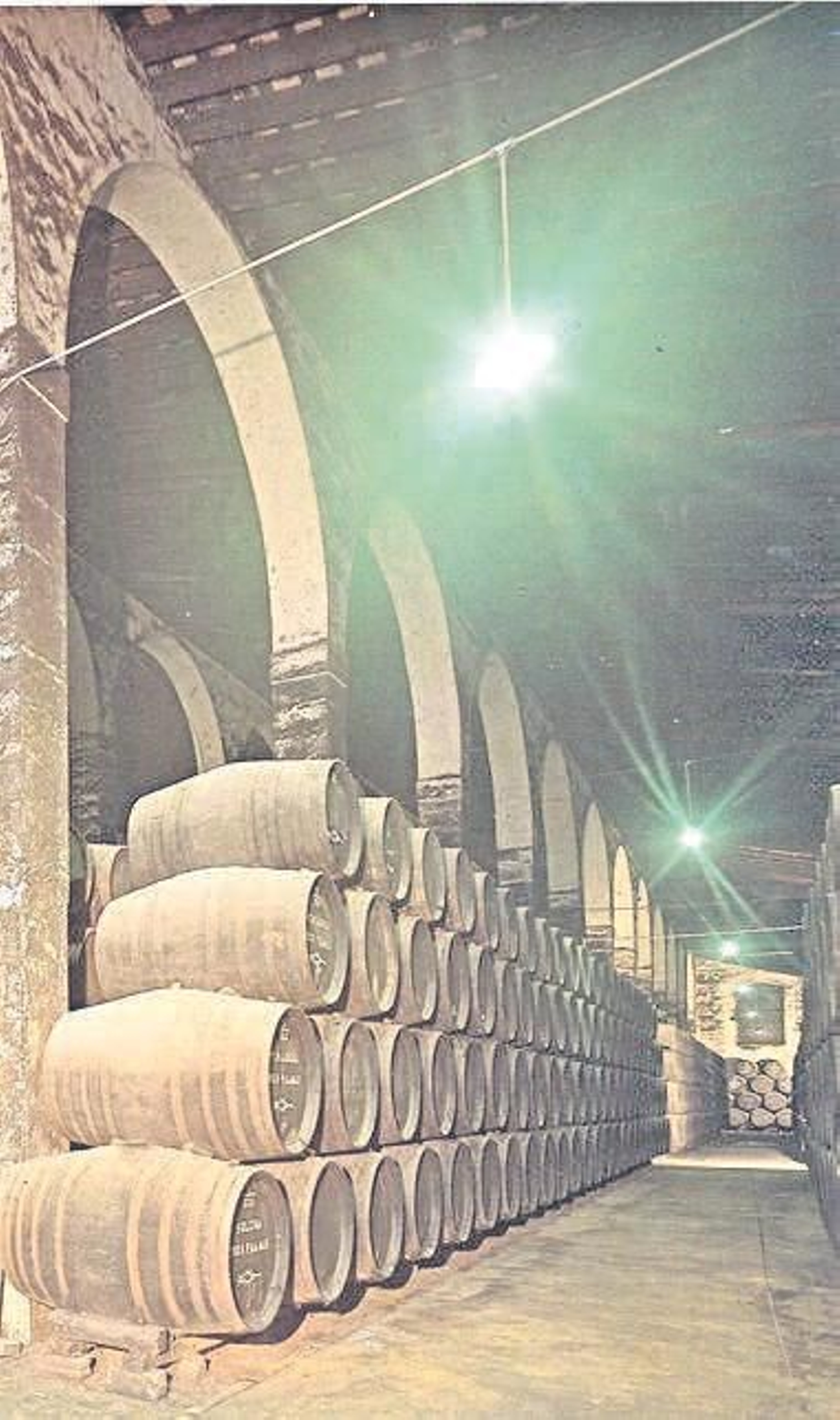 Interior de las bodegas de la Riva, calle Arcos. Interior de las bodegas de la Riva, calle Arcos.