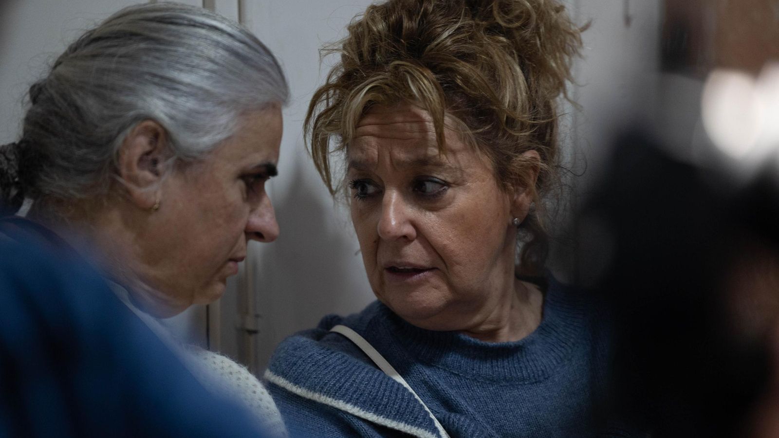 Búscate entre las mejores imágenes de la novena sesión preliminares del COAC 2025