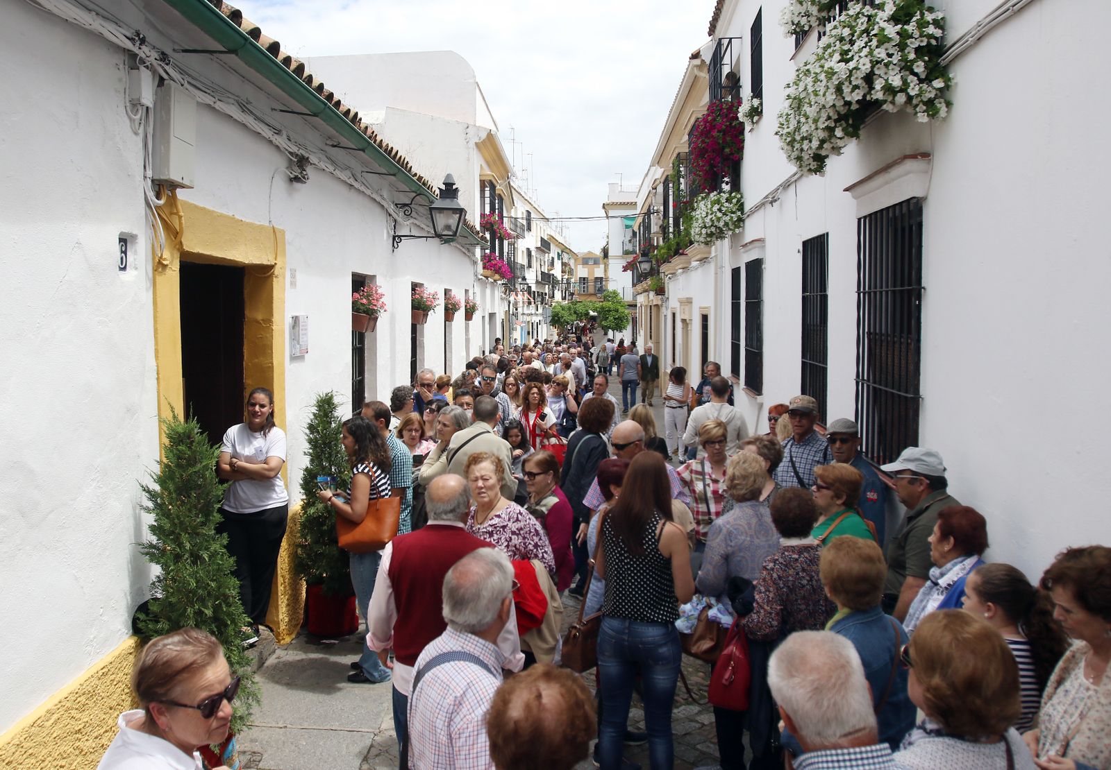 Ambiente en los patios ganadores de 2017
