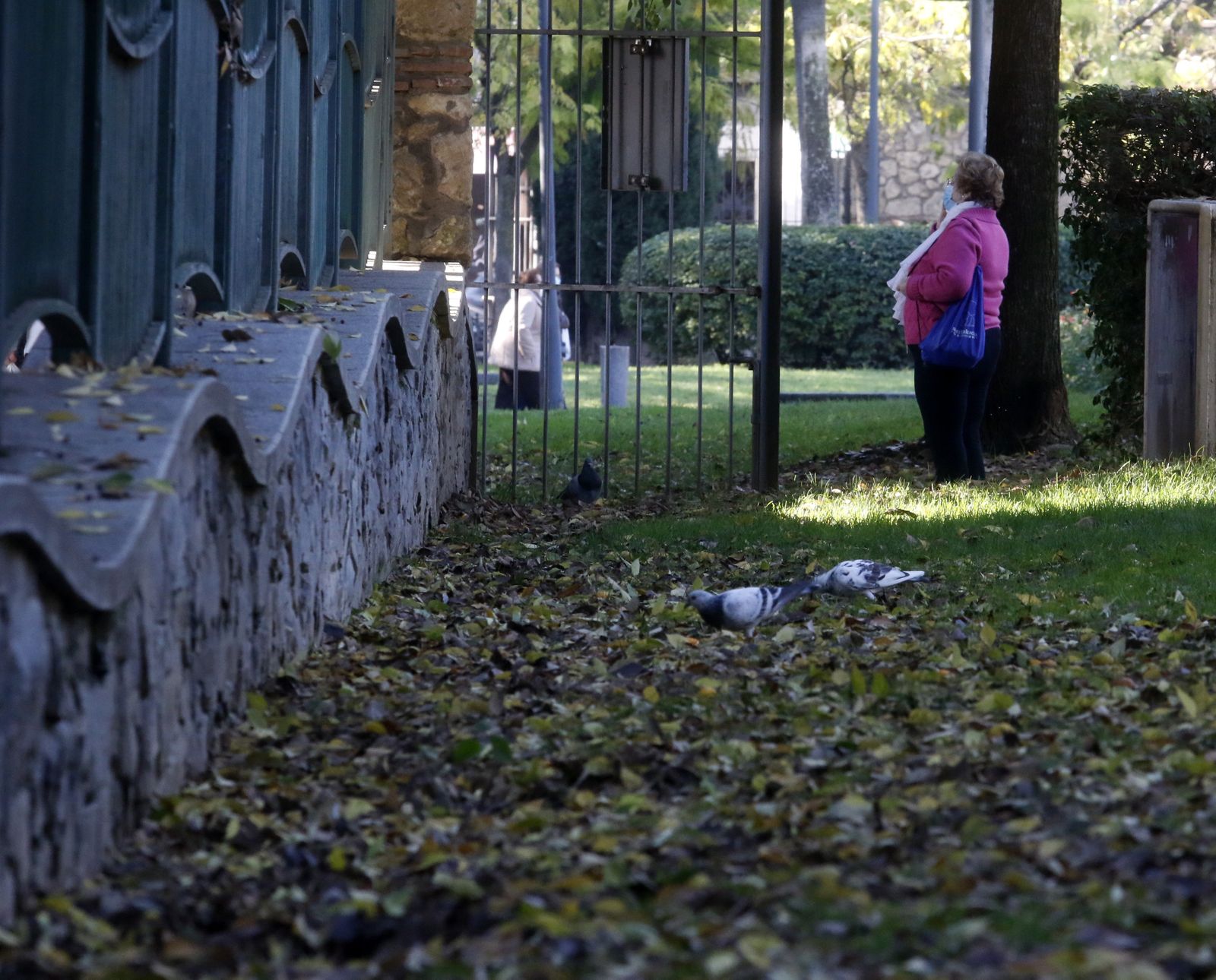 El otoño en Córdoba, en fotografías