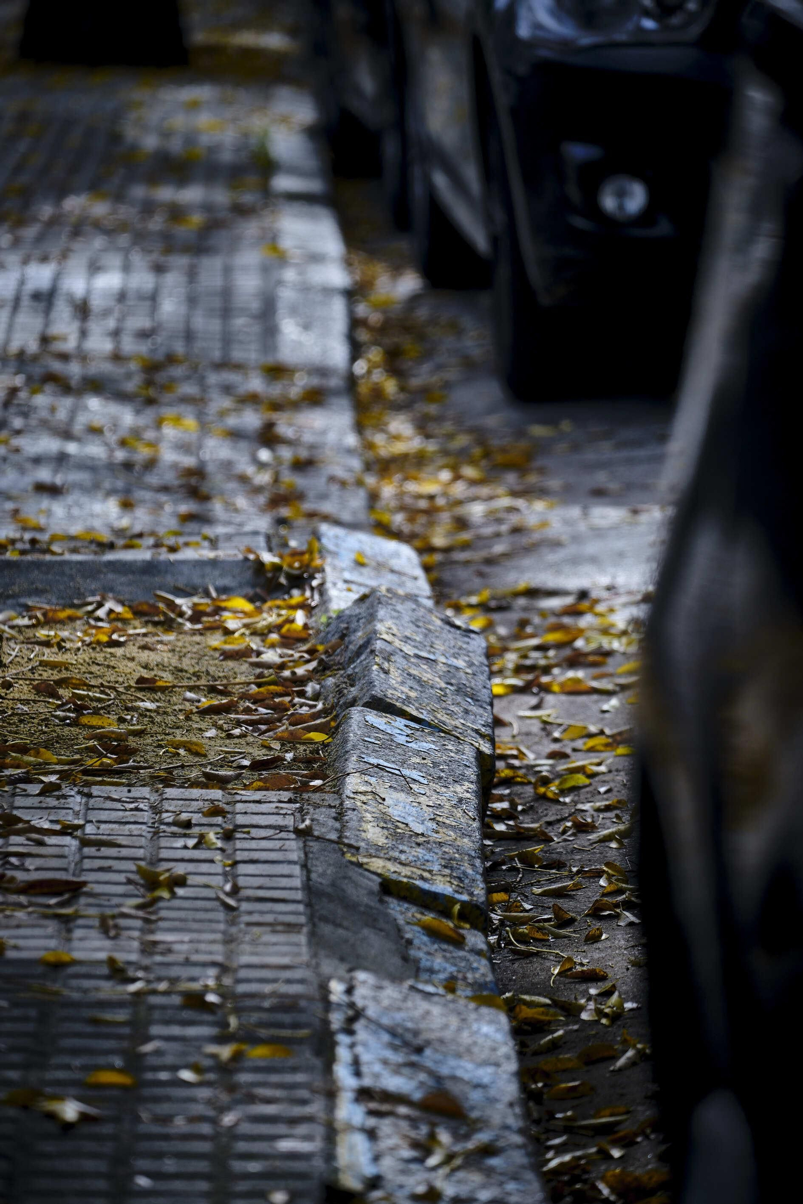 Bordillo desplazado por raices frente al solar de la antigua Sudelegación del Gobierno