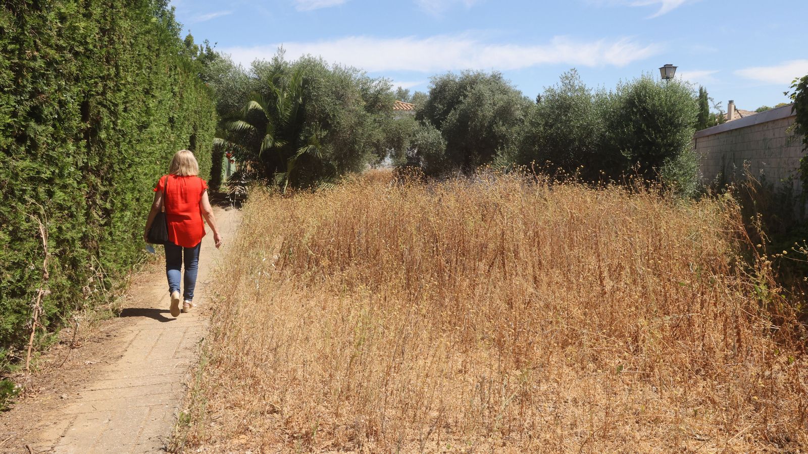 Maleza seca acumulada en los senderos.