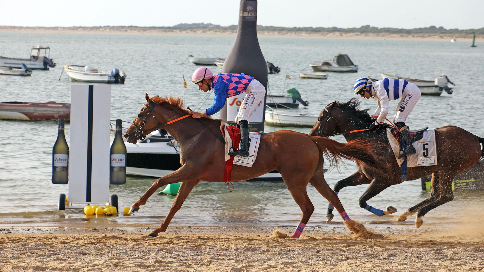Última jornada del primer ciclo de las Carreras de Caballos de Sanlúcar