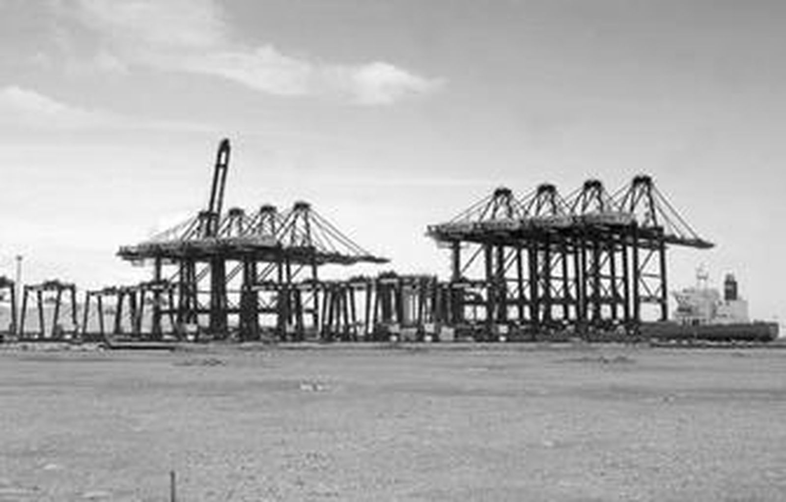 Las cuatro nuevas grúas STS de TTI Algeciras (derecha), aún a bordo del 'Zhenhua 27'.