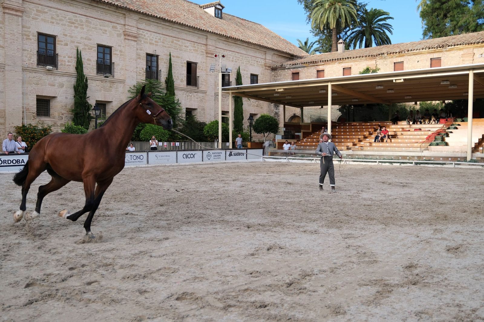 La Feria del Caballo de Córdoba (Cabalcor) 2023, en imágenes.
