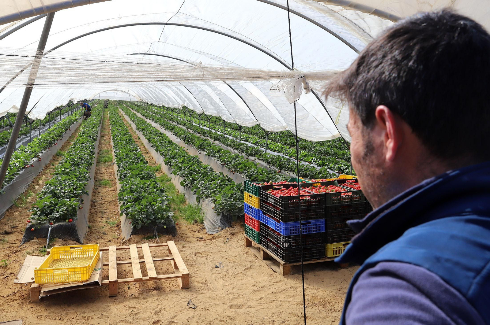 Imágenes de la realidad del trabajo en el campo