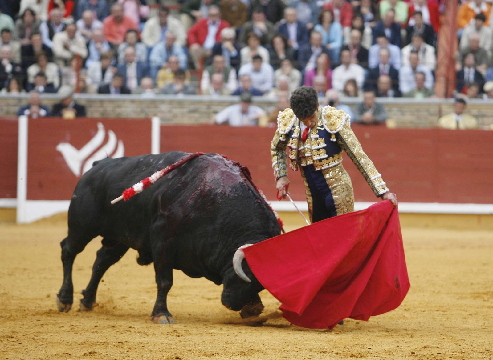 Algeciras pierde a José Tomás
