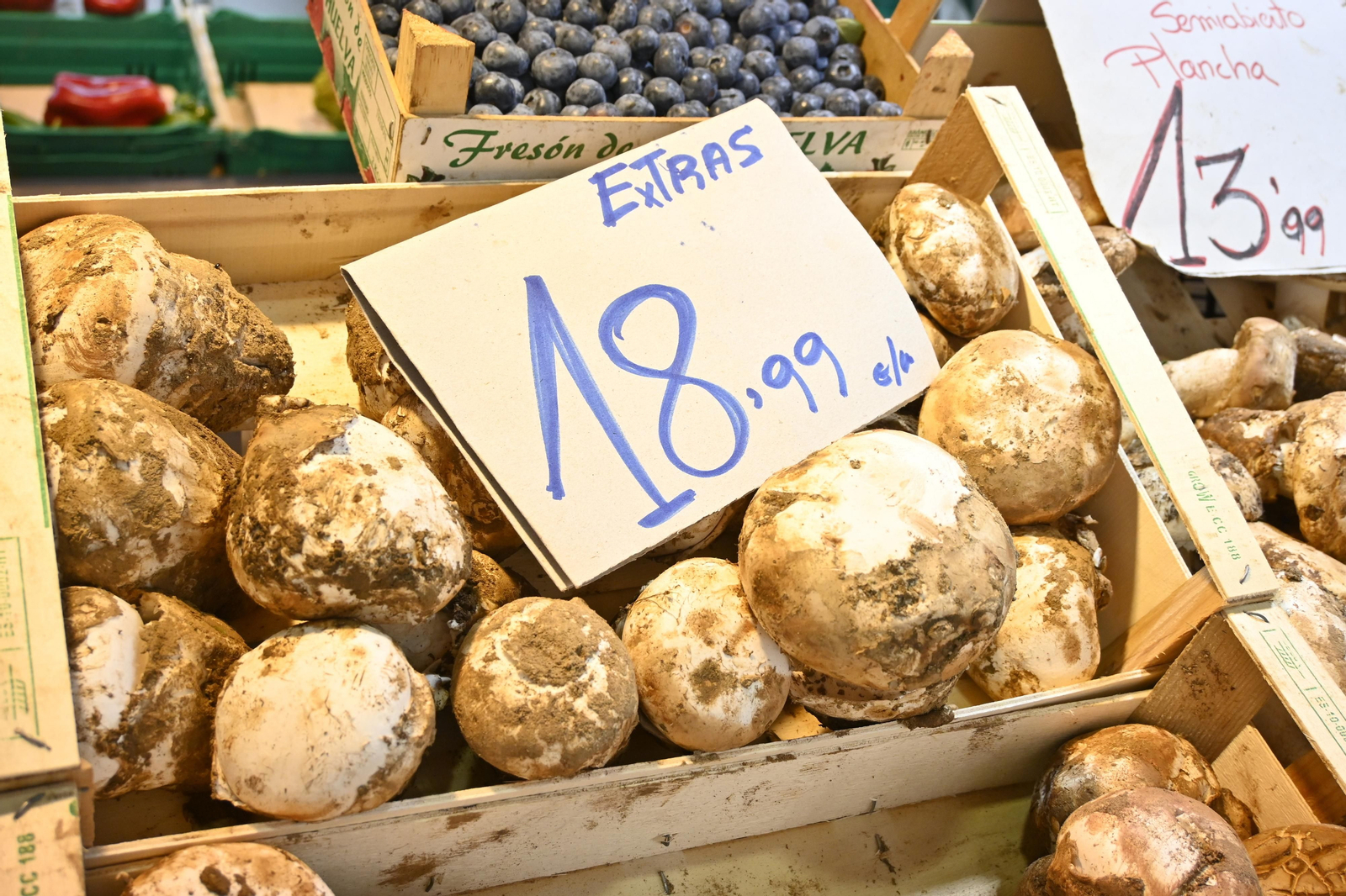 Los gurumelos se multiplican y arrasan en el mercado de Huelva,  las mejores imágenes