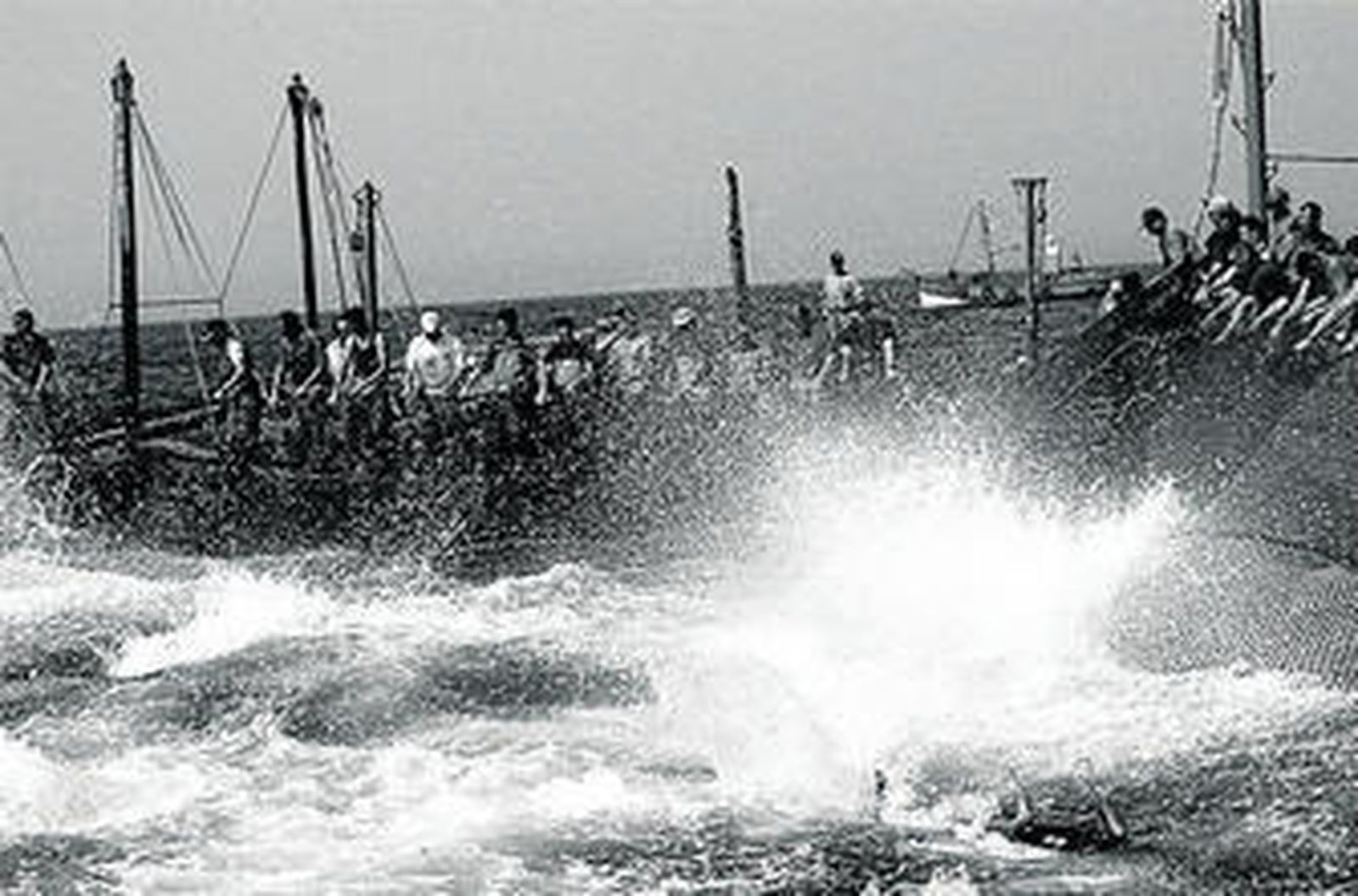 1987 Récord de capturas en la almadraba de Conil; 380 atunes