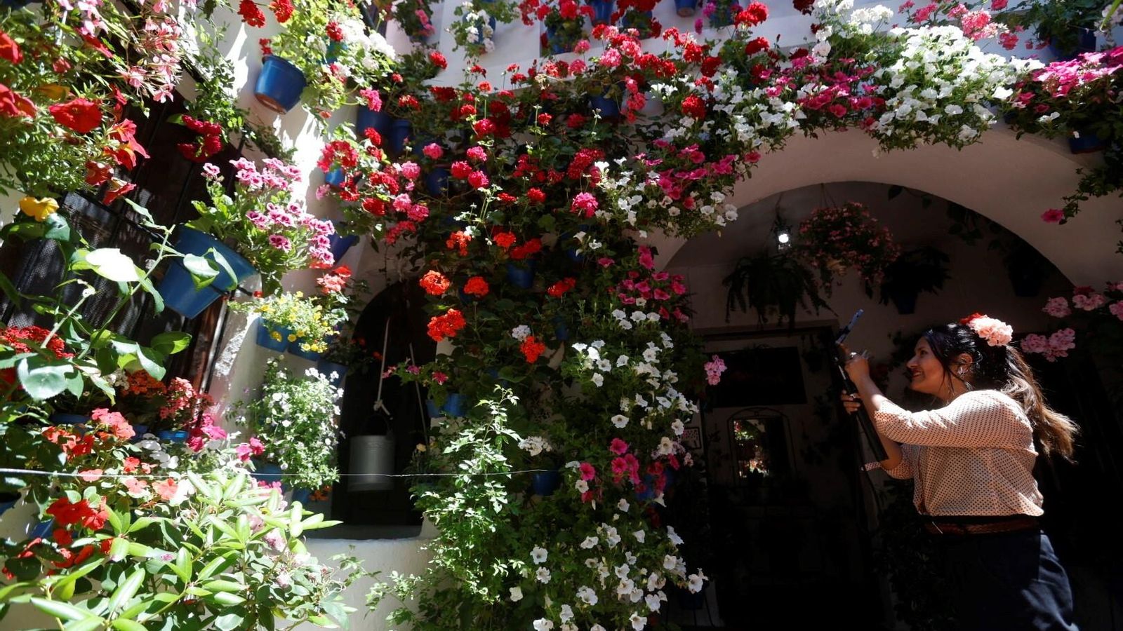 Tinte, 9. Primer premio Arquitectura Antigua en el concurso de Patios de Córdoba 2024