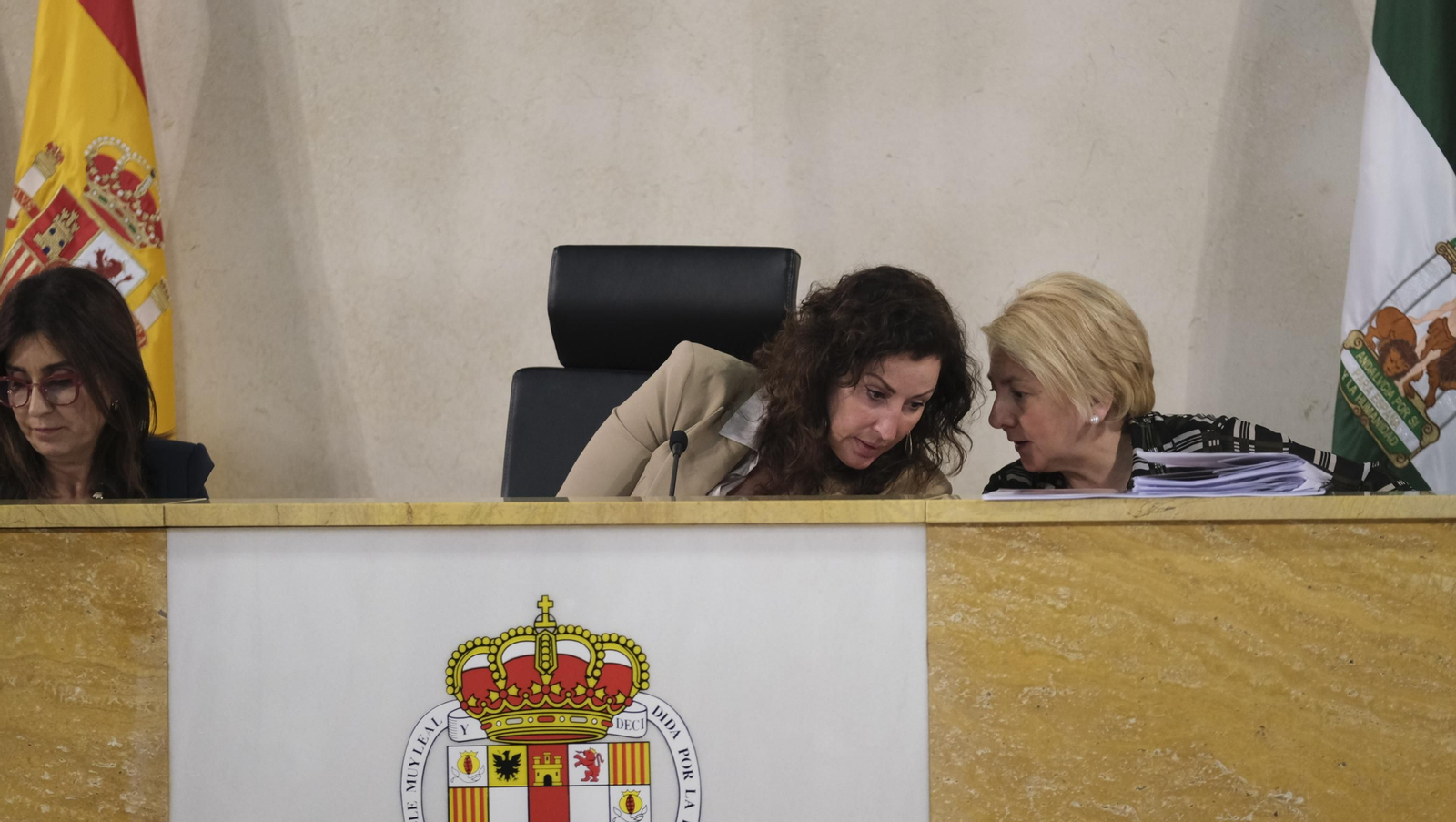 Imágenes del pleno ordinario del Ayuntamiento de Almería